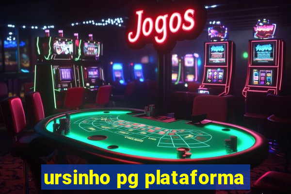 ursinho pg plataforma